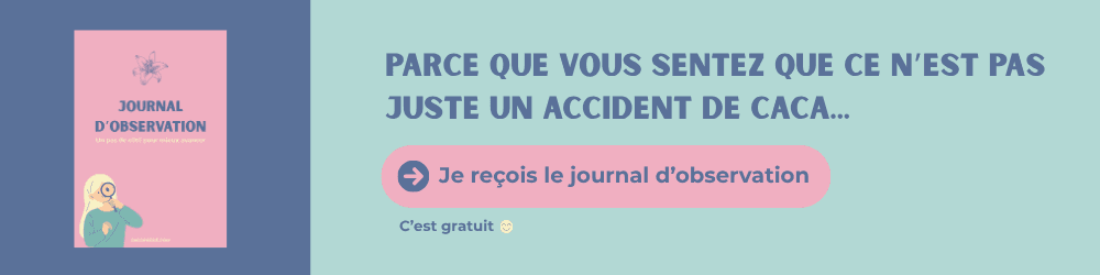journal d’observation accident caca 3