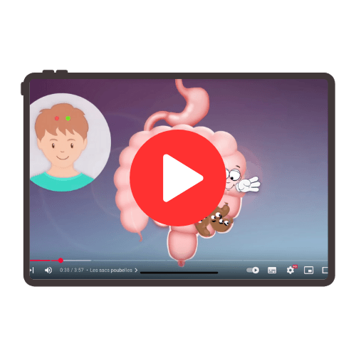 vidéo firmin l'intestin 2